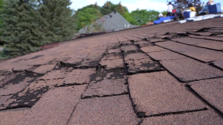 Best Green or Eco-Friendly Roofing Solutions  in Irmo, SC