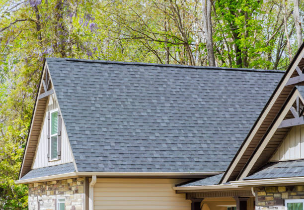 Best Roof Coating and Sealing  in Irmo, SC